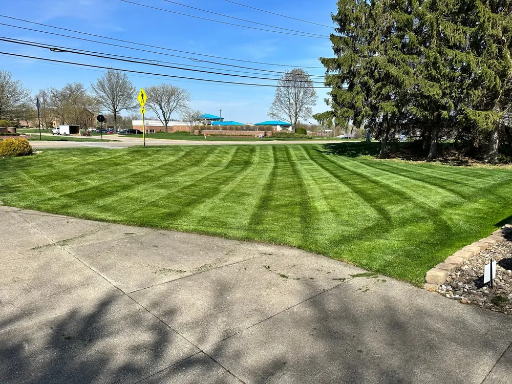 Maintained roadside lawn and landscape edges