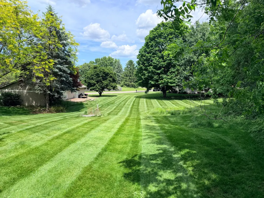 Healthy green lawn maintained by City Mowing