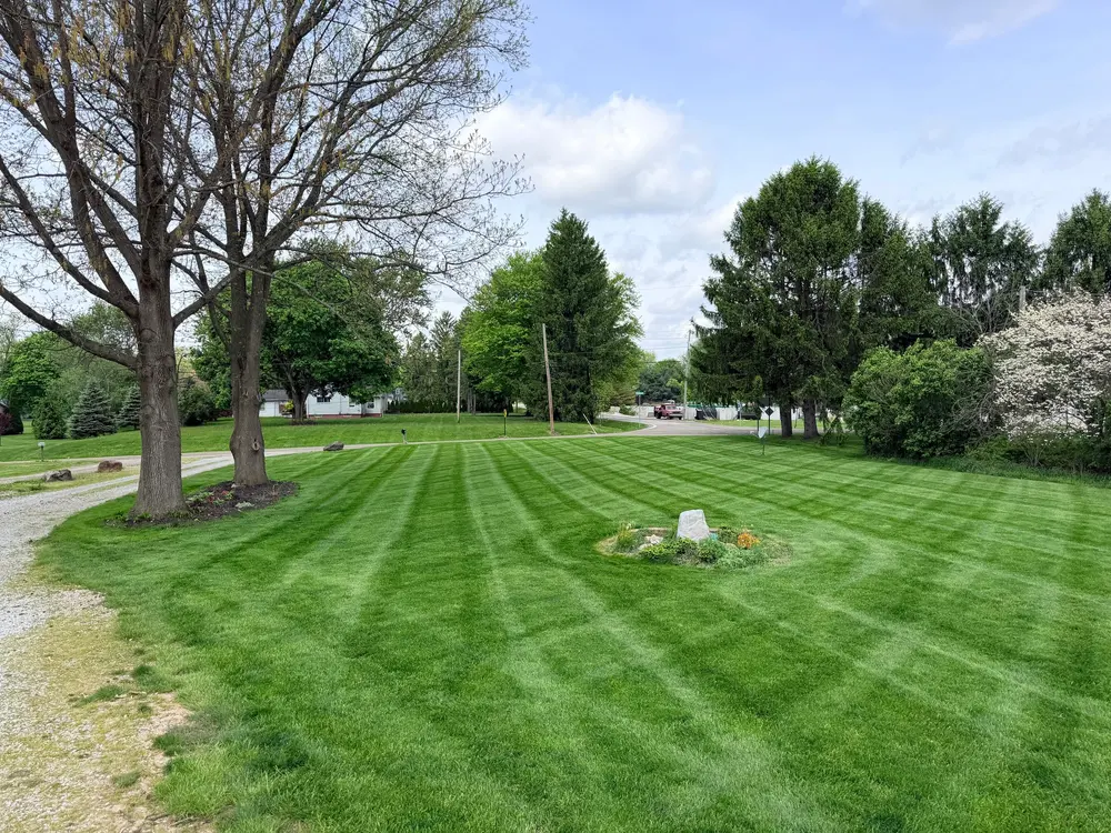 Freshly maintained lawn with mowing stripes
