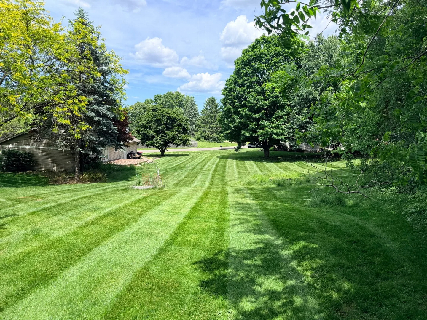 Healthy green lawn maintained by City Mowing
