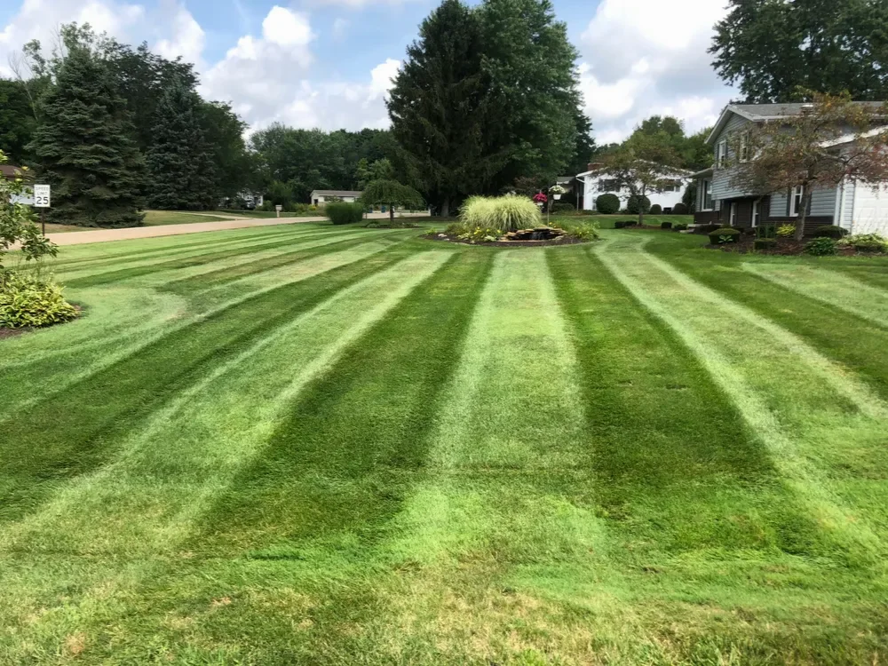 Lawn maintained by the City Mowing crew